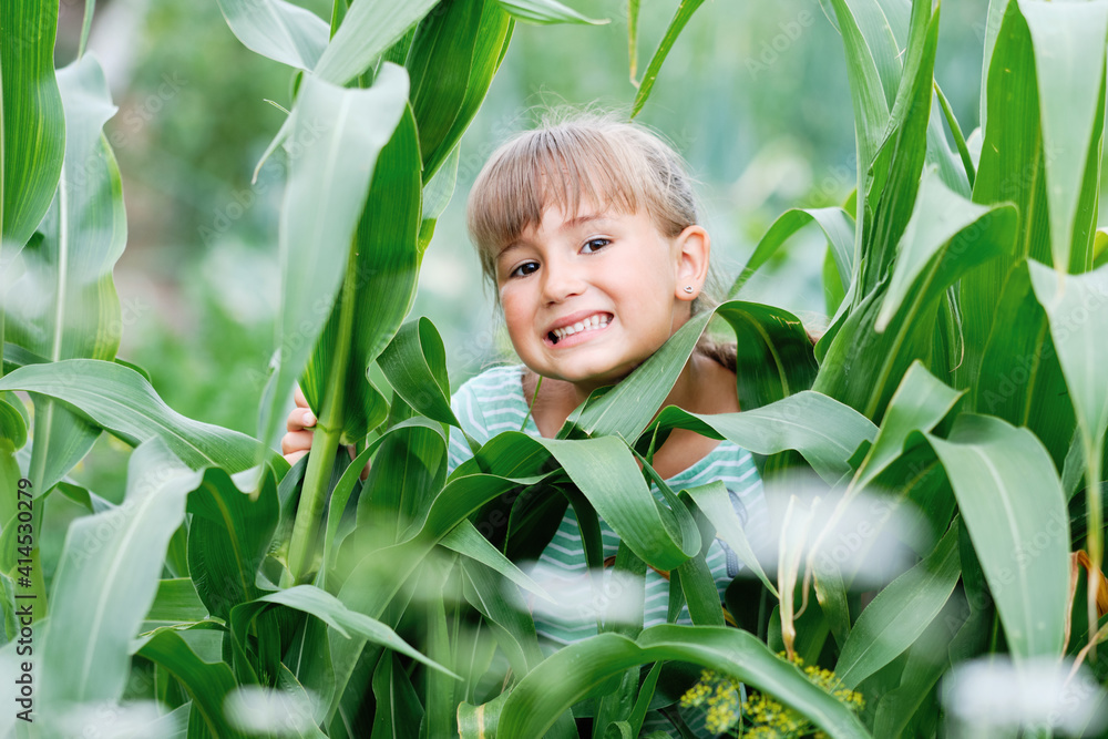 Smiling Happy Young Girl and Green Plant Leaves. Beautiful Cute Little Female Standing on Farm in Sunny Warm Day. Attractive Person and Tall Cultivation Culture Organic Nature Product Smiling Happy Young Girl and Green Plant Leaves. Beautiful Cute Little Female Standing on Farm in Sunny Warm Day. Attractive Person and Tall Cultivation Culture Organic Nature Product