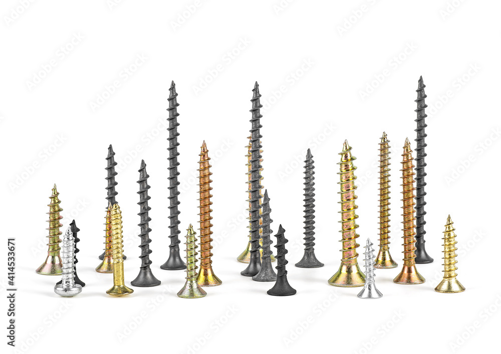 Front view of various screws isolated on a white background Front view of various screws isolated on a white background