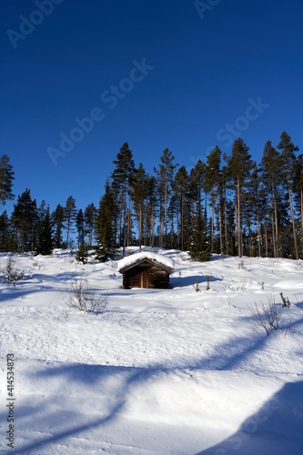 A little forest hut in the wild winter forest. sunny and clear winterday © SteinOve