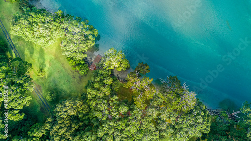 Aerial view of the forest on a shore of a beautiful harbor. Auckland  New Zealand.