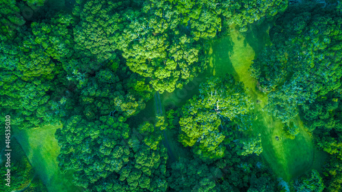 Aerial view of the forest at the recreational area around Auckland, New Zealand
