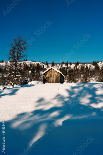 A little forest hut in the wild winter forest. sunny and clear winterday