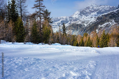 Wallpaper Mural Picture Torontodigital.ca