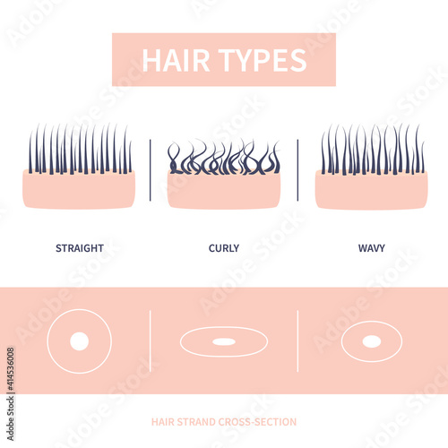 Straight, wavy, curly hair shape types classification set. Skin cross-section with hair strands. Human hair growth style chart. Health care and beauty concept. Vector illustration.
