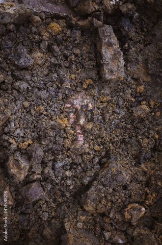 Buried Face