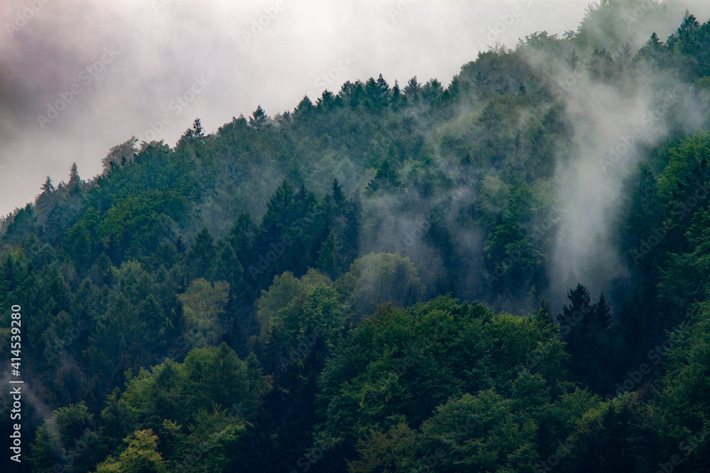 Plakat La montagne recouverte d´arbres avec du brouillard montant de la forêt, tout cela donnant une sensation de tristesse de mélancolie.