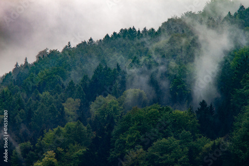 La montagne recouverte d  arbres avec du brouillard montant de la for  t  tout cela donnant une sensation de tristesse de m  lancolie.