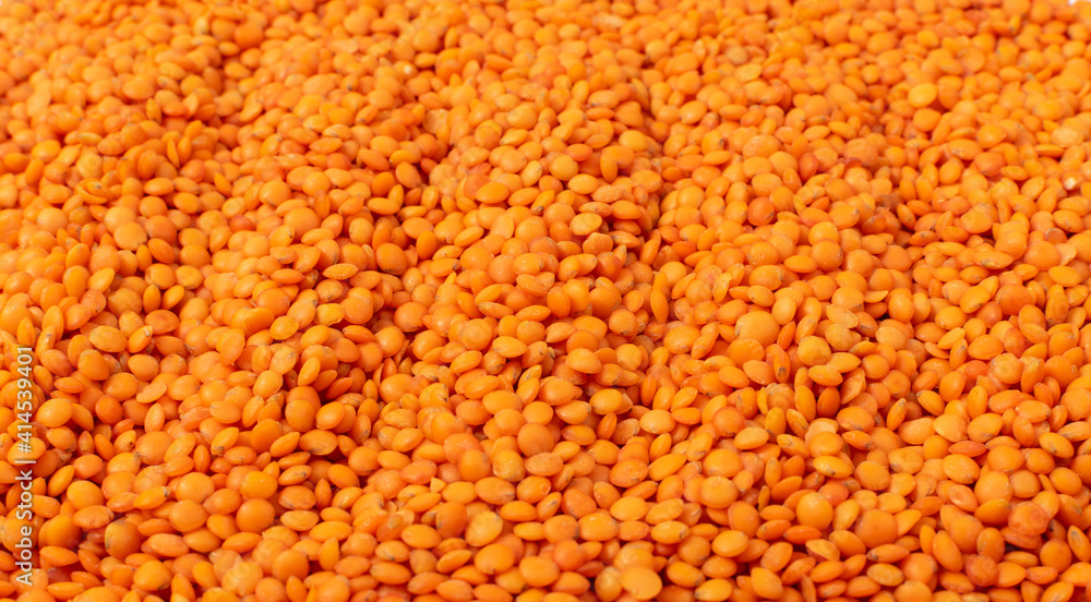 Raw Dry Lentils, Lentil Grains, Dal, Daal, Dhal, Masoor Raw Dry Lentils, Lentil Grains, Dal, Daal, Dhal, Masoor
