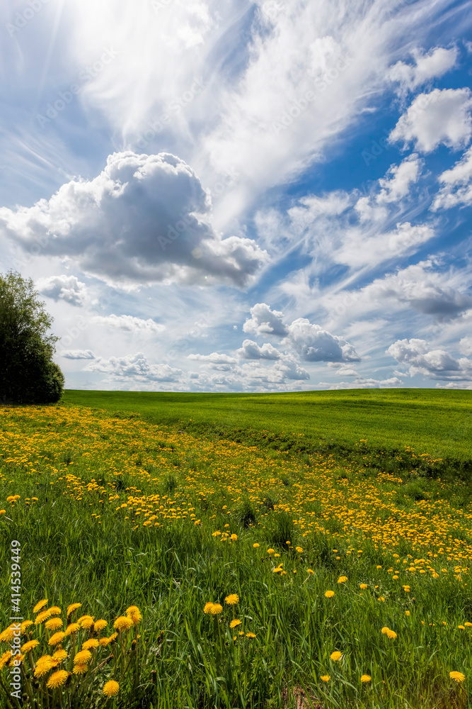 Obraz premium agricultural activities in the field of crop production