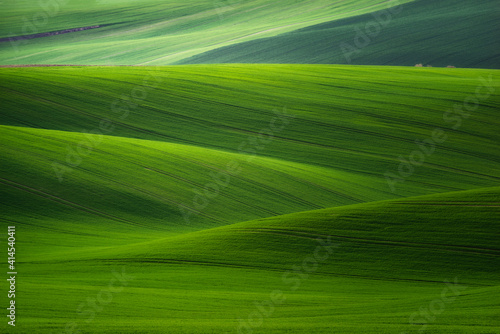 Europe, Czech Republic. Moravia wheat fields. © Danita Delimont