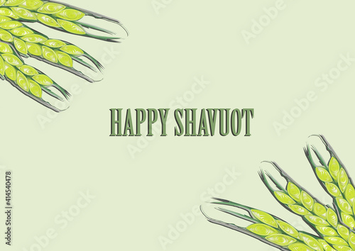 Happy Shavuot the Jewish Holiday spicules with copy space photo