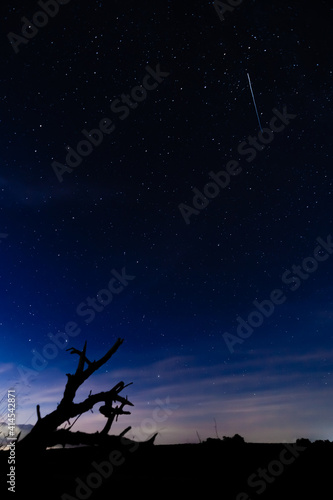 shooting star crossing star sky, in the field
