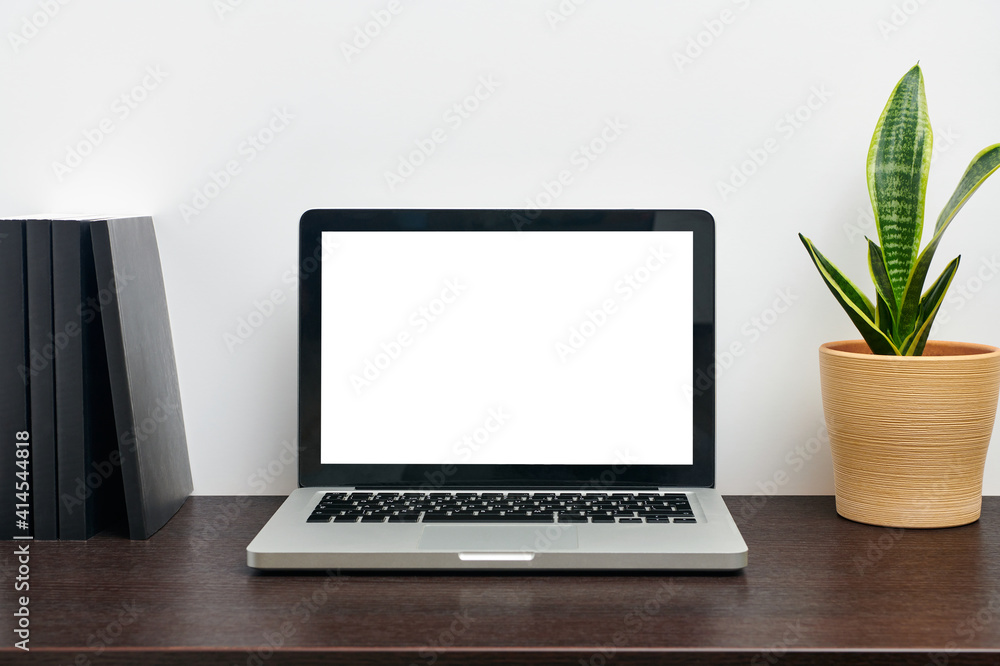Laptop computer with blank empty white screen display on desk of modern workplace. Home office, business, working from home, studying, e-learning concept. Mockup with copy space Laptop computer with blank empty white screen display on desk of modern workplace. Home office, business, working from home, studying, e-learning concept. Mockup with copy space