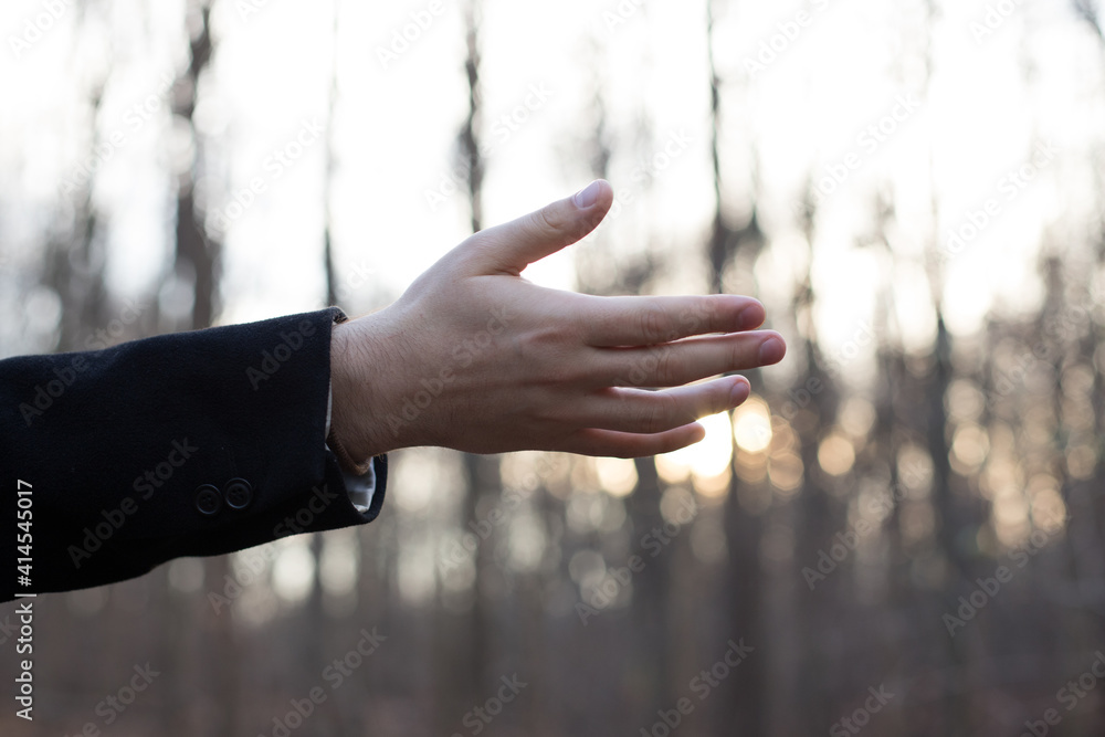 Man's hand at sunset in the forest
