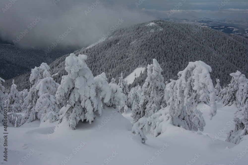 Obraz premium Panorama of the foggy winter landscape in the mountain