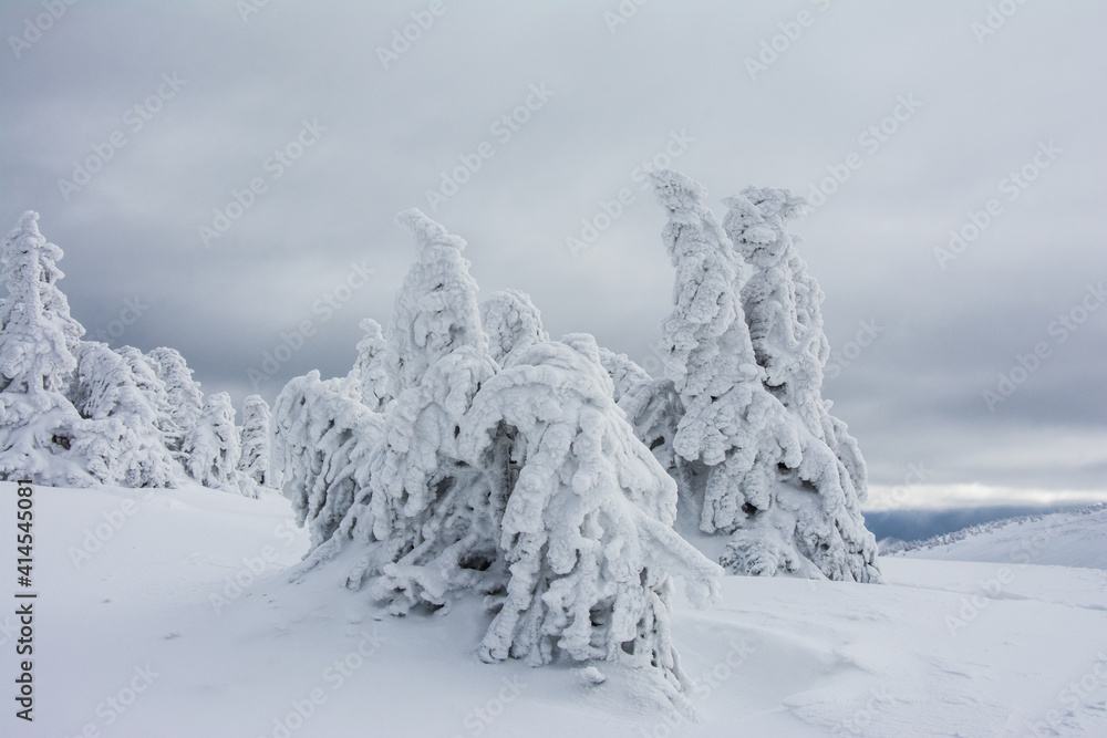 Panorama of the foggy winter landscape in the mountain