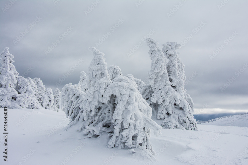 Obraz premium Panorama of the foggy winter landscape in the mountain