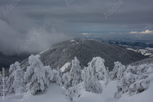 Wallpaper Mural Panorama of the foggy winter landscape in the mountain Torontodigital.ca