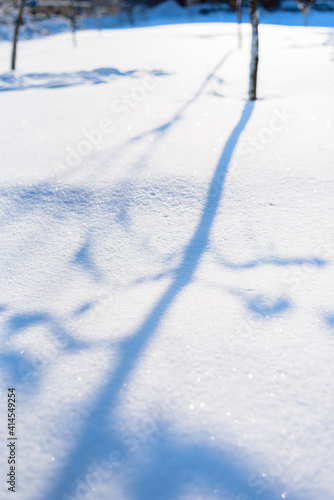 A Young Tree Casts A Diagonal Shadow Over The Clean Snow Cover. Winter Sunny Calm Day. City Park. Free Space For Text.