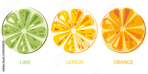 Green Juicy Lime, Lemon, Sunny Juicy Oranges Set of Cut Fruits. Colorful Citrus Fruits.