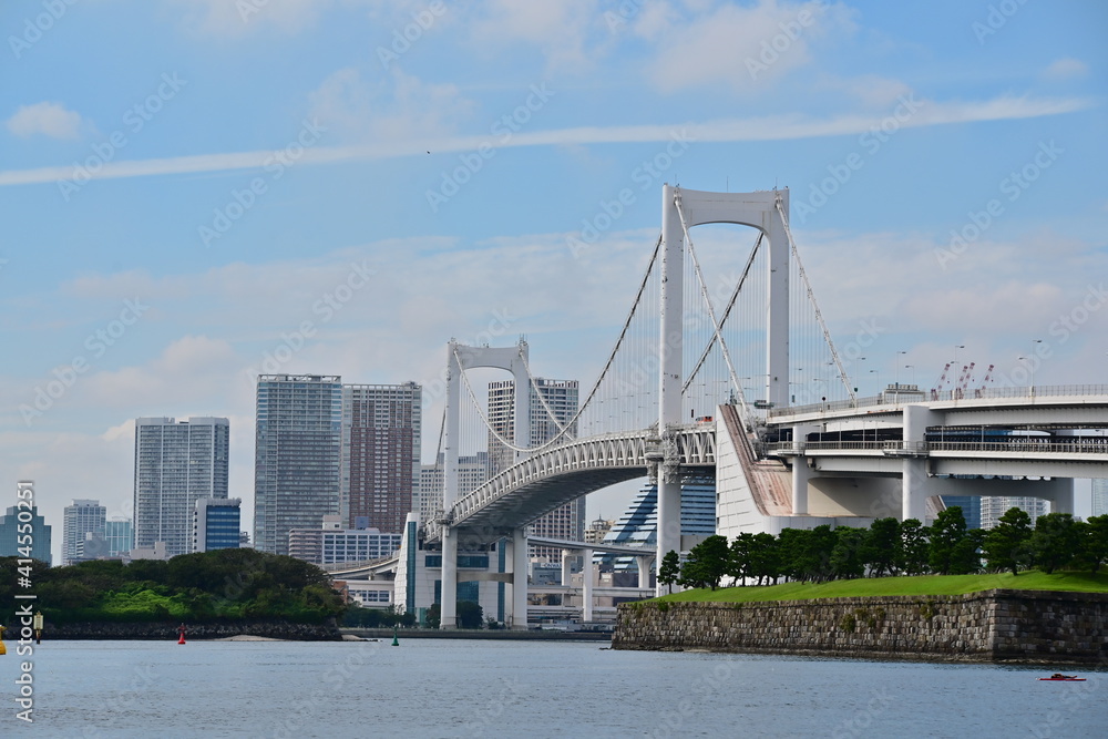 Tokyo bridge with buildings in the background