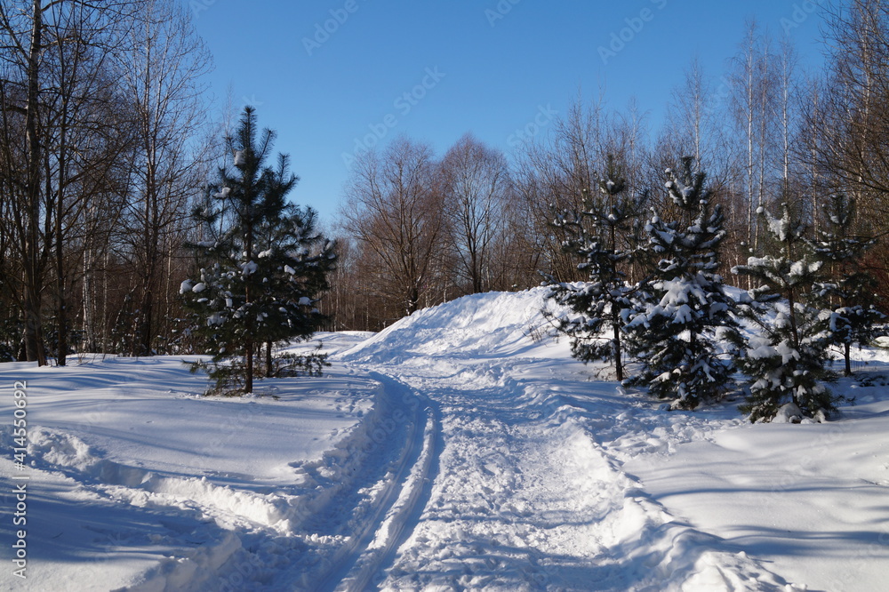 winter landscape with snow winter landscape with snow