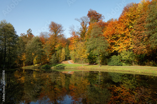Pond landscape in autumn  Bad Iburg  Osnabrueck country  Lower Saxony  Germany