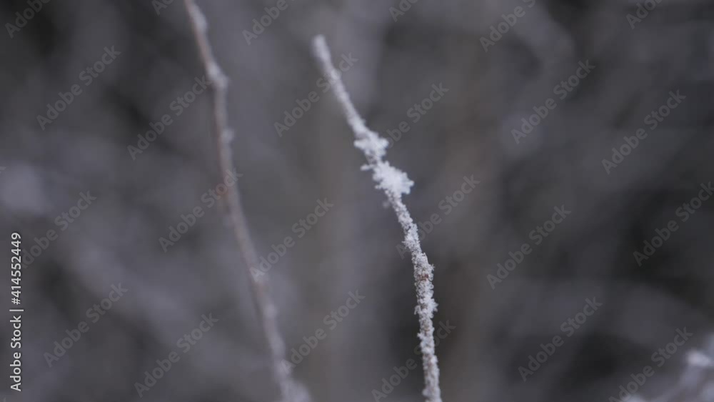 Frozen snowflakes and frost on branch, shallow focus slow motion. Frozen snowflakes and frost on branch, shallow focus slow motion.