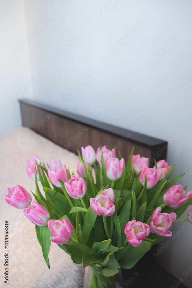 pink tulips on the background of the room pink tulips on the background of the room