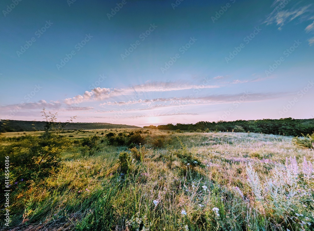 Summer sunrise over the wild field Summer sunrise over the wild field