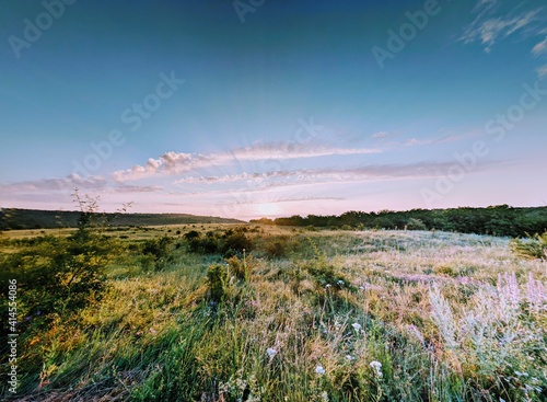 Summer sunrise over the wild field