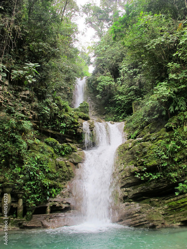 Cascada en medio de la selva