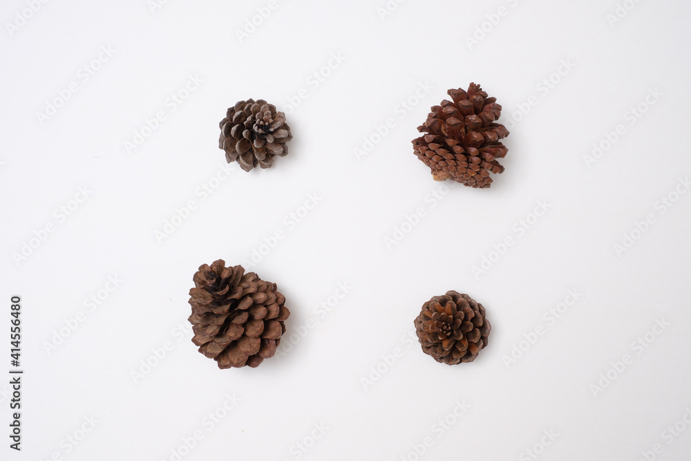 Pine cones white background Flat lay studio lighting Pine cones white background Flat lay studio lighting
