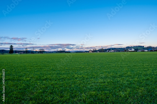 Meadow landscape with blue sky