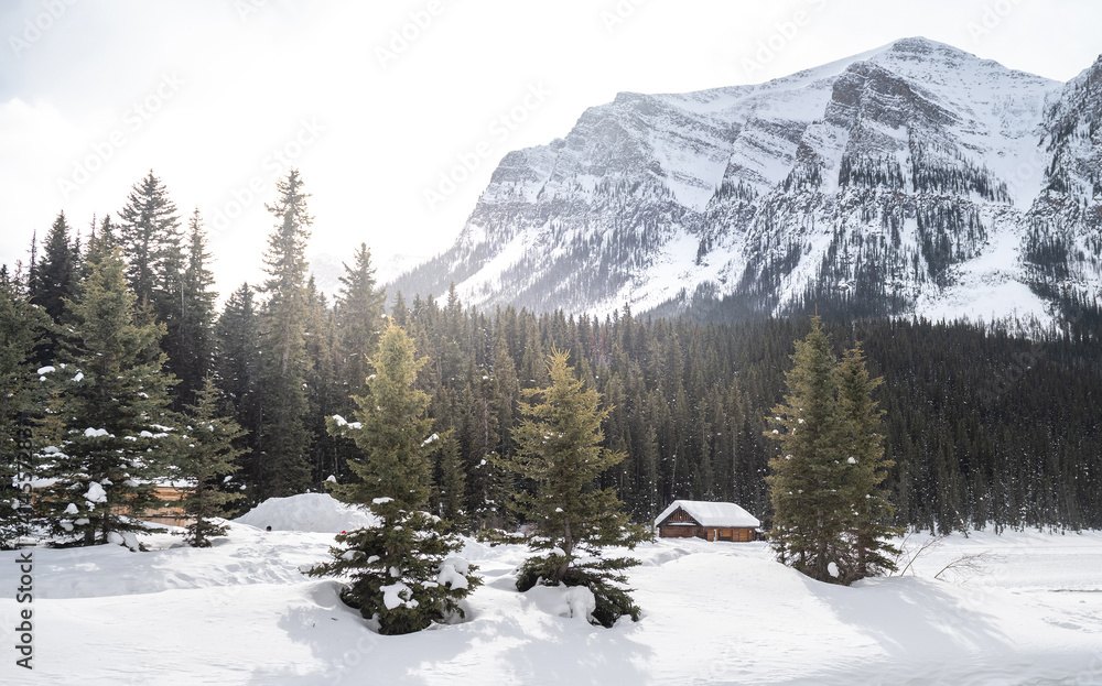Fototapeta premium Beautiful landscape in Banff national park in Winter.&nbsp;Banff national park, Alberta, Canada