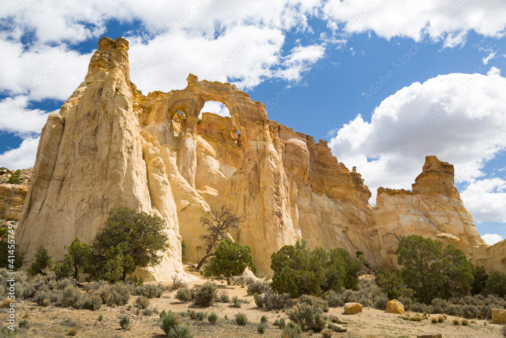 Fototapeta premium Grosvenor Arch, Grand Staircase-Escalante National Monument Utah