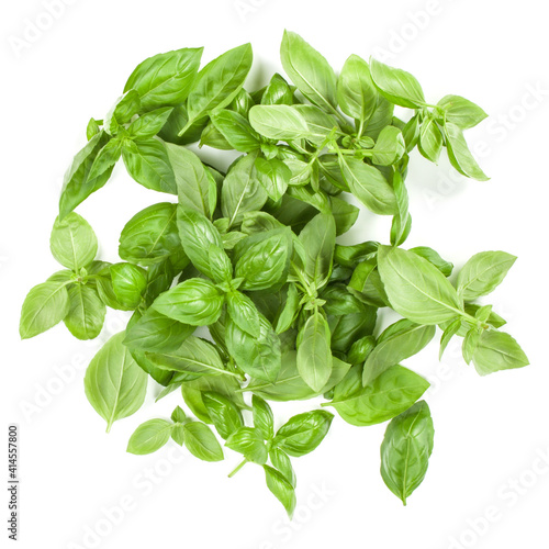 Sweet Genovese basil leaves background arrangement isolated on white. Top view.