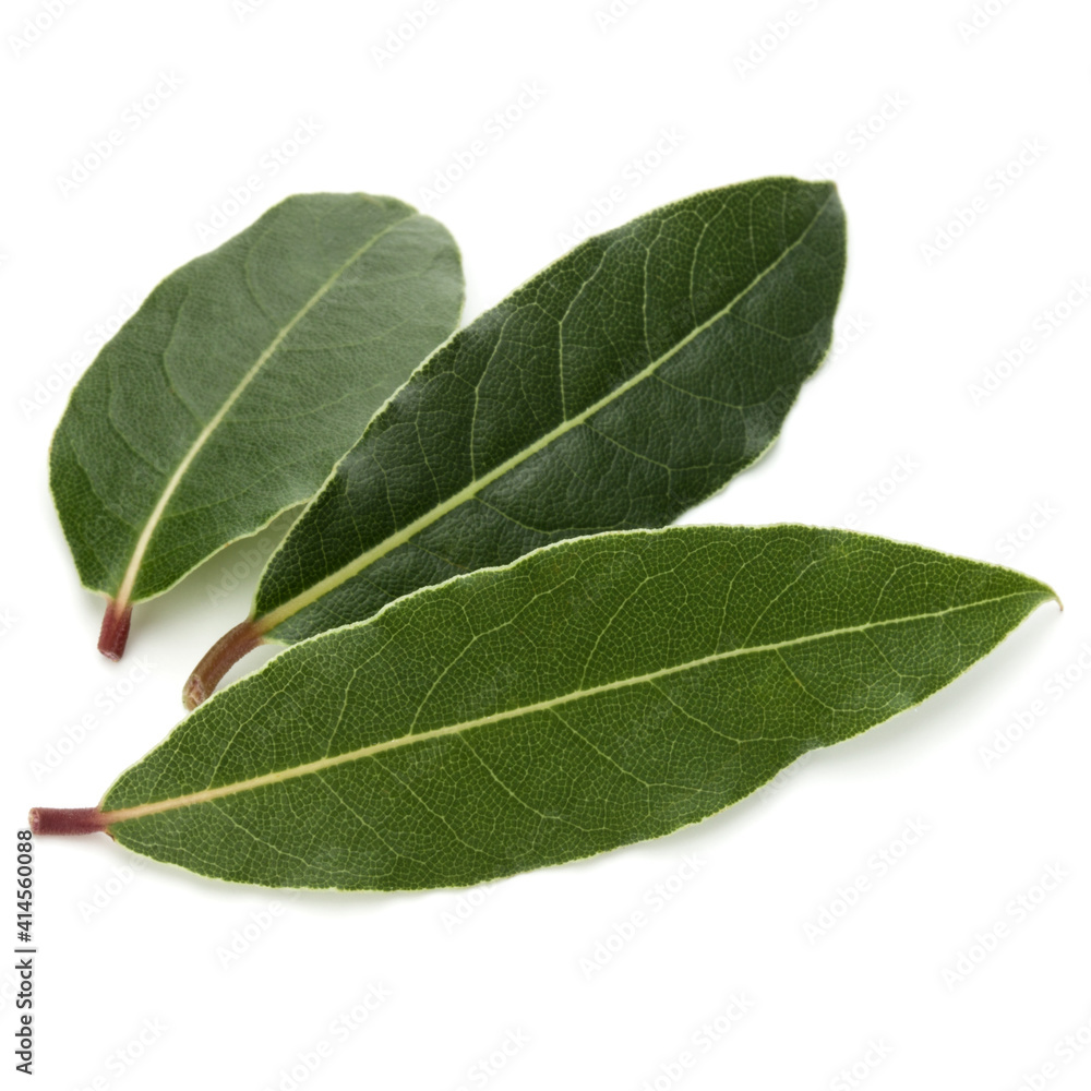 Obraz premium Aromatic bay leaves