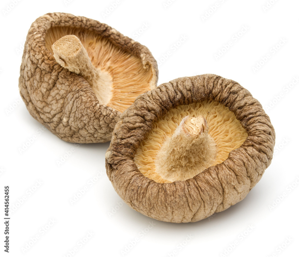 Dried Shiitake Mushroom isolated on white background Dried Shiitake Mushroom isolated on white background