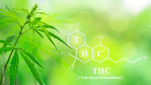 Cannabis Wallpaper. Chemical formula Tetrahydrocannabinol (THC) develops premium cannabis and cannabis products for medical purposes.