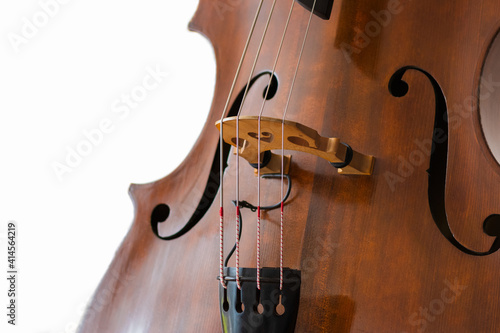 фотографія Contrabass details