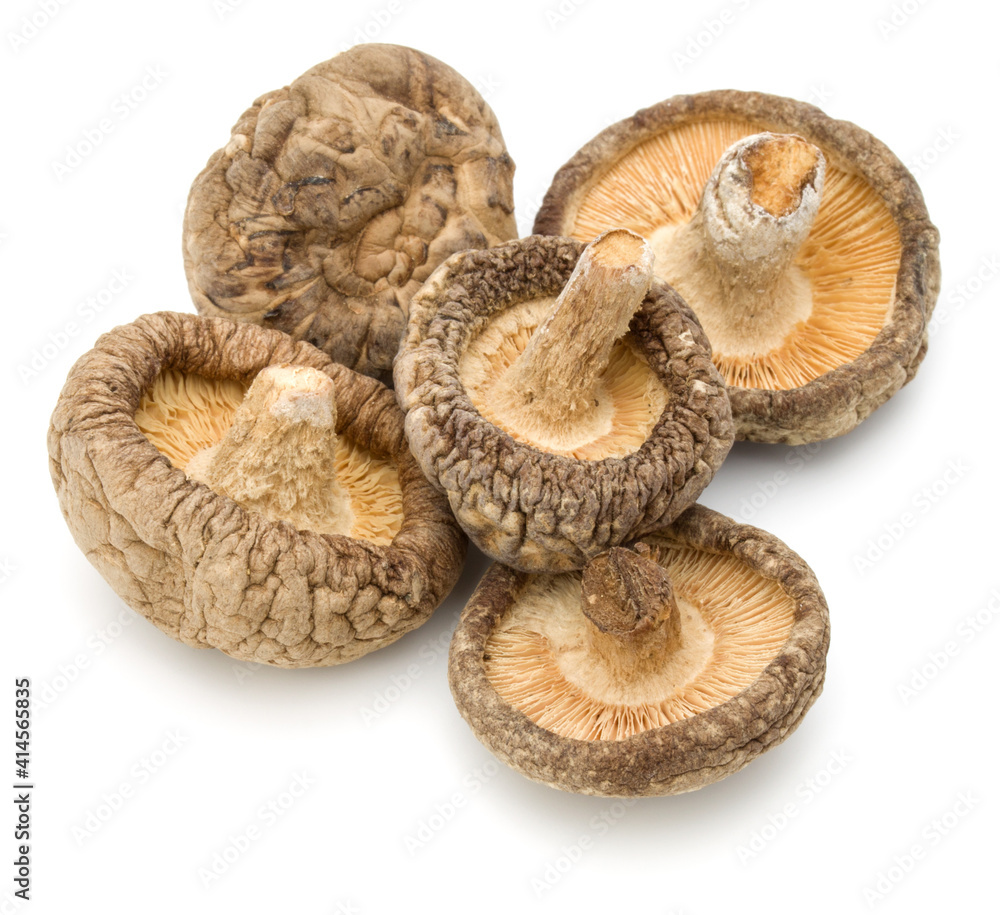 Dried Shiitake Mushroom isolated on white background Dried Shiitake Mushroom isolated on white background