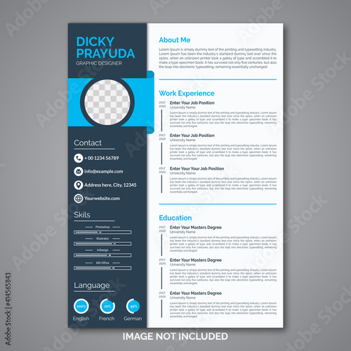 Professional curriculum vitae template