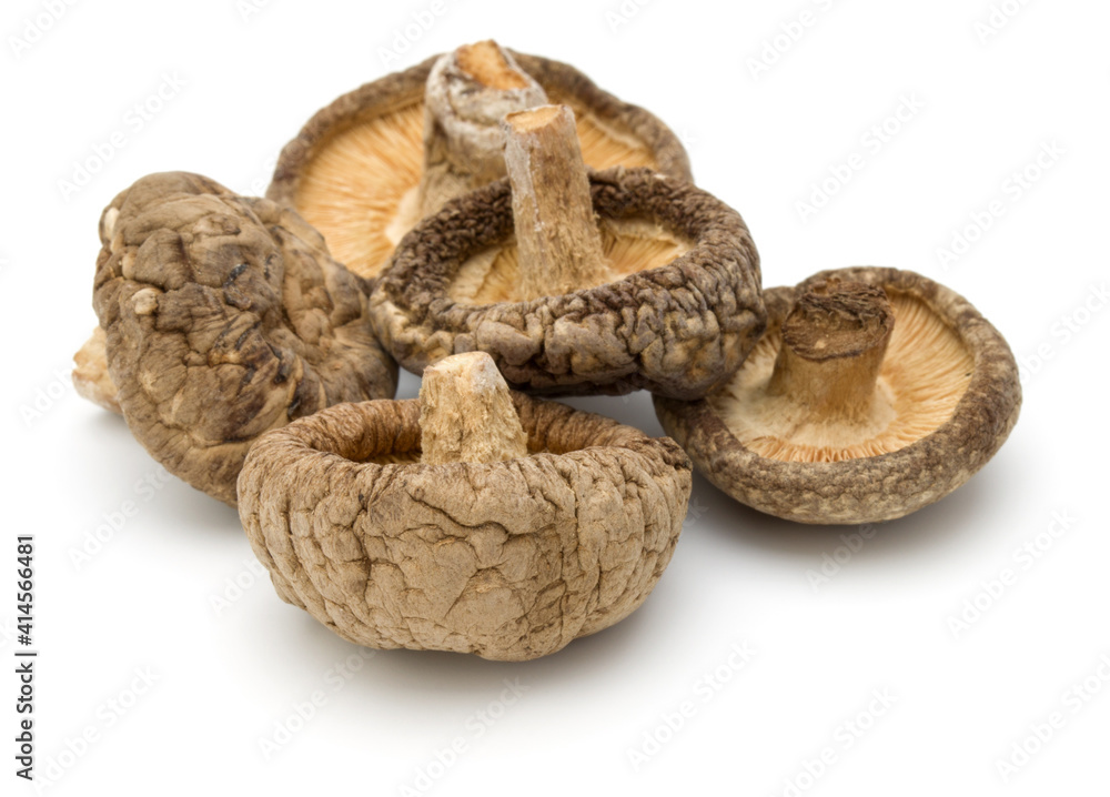 Dried Shiitake Mushroom isolated on white background Dried Shiitake Mushroom isolated on white background