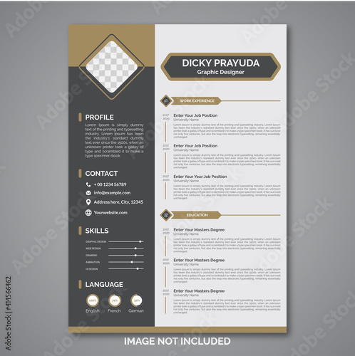 Professional curriculum vitae template