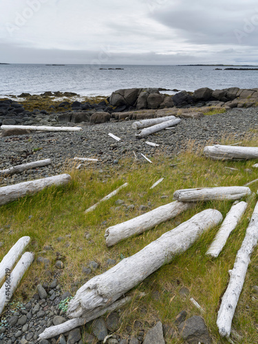 Shore with driftwood from Sibira at Bjarnarfjordur. The Westfjords (Vestfirdir) in Iceland. photo