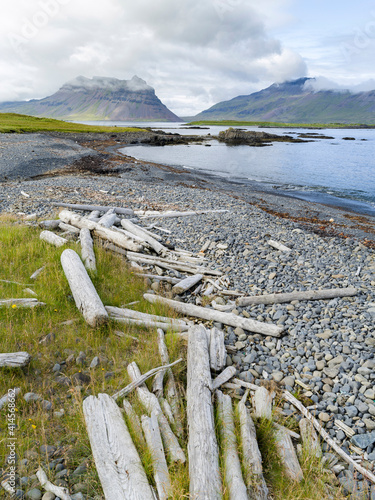 Landscape at bay Trekyllisvik in Arneshreppur. Driftwood from Sibira. The Westfjords (Vestfirdir) in Iceland. photo