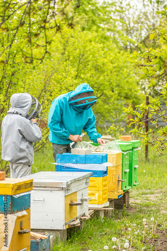 child broadcasting online from apiary. Dad and son on the apiary. Family agribusiness. boy records video as father works near bee hives. Online education in beekeeping and fertilization of queen bee.