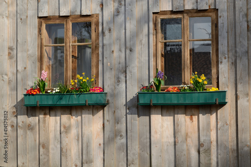 Fototapeta Naklejka Na Ścianę i Meble -  Rustic Wooden Windows And Floral Decoration