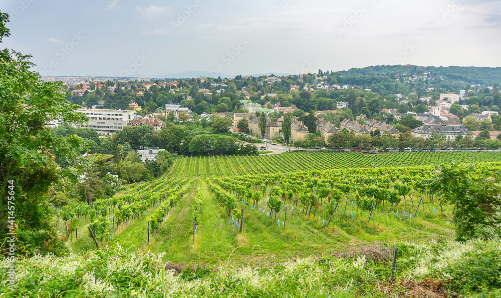 Areal view of Vineyard in the western part of the City of Vienna